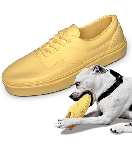 洋楽 G-RAP MR.SHOE D.O.G. Dog Shoes - Caesar 1 Sneakers Aqua - RIFRUF | La Maison Mou