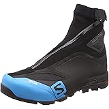 salomon s lab alpine 2