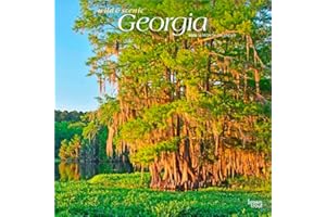 Georgia Wild & Scenic | 2026 12 x 24 Inch (Hanging) Monthly Square Wall Calendar | Plastic-Free | BrownTrout | USA Southeast State Nature Savannah Golf