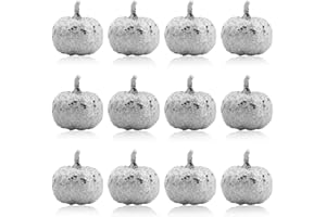 Lainrrew 12 Pcs Mini Artificial Pumpkins, Lifelike Simulation Silver Pumpkins Fake Fruit Vegetables Home Decor for Halloween Thanksgiving Autumn Theme Party Decorations