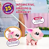 Little Live Pets My Pet Pig Piggly Interactive Toy Pig with Leash Batteries view 4