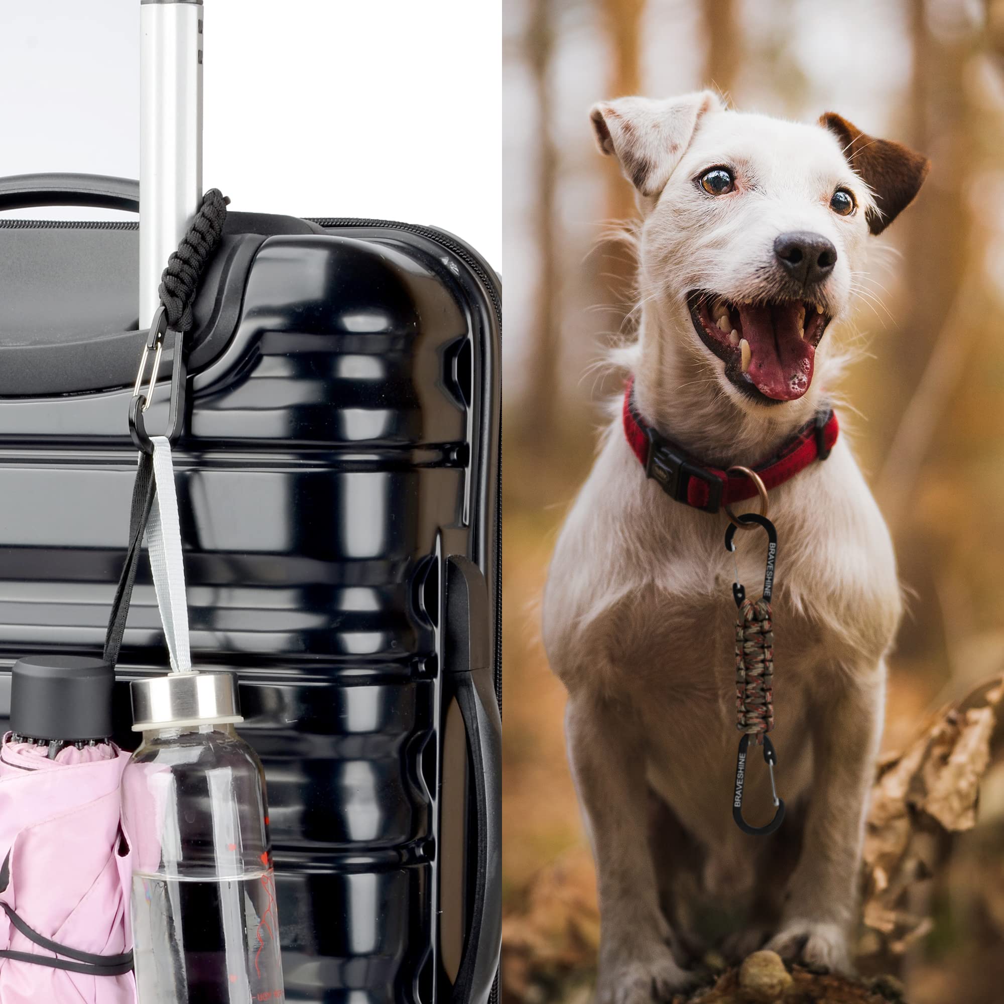 View 4