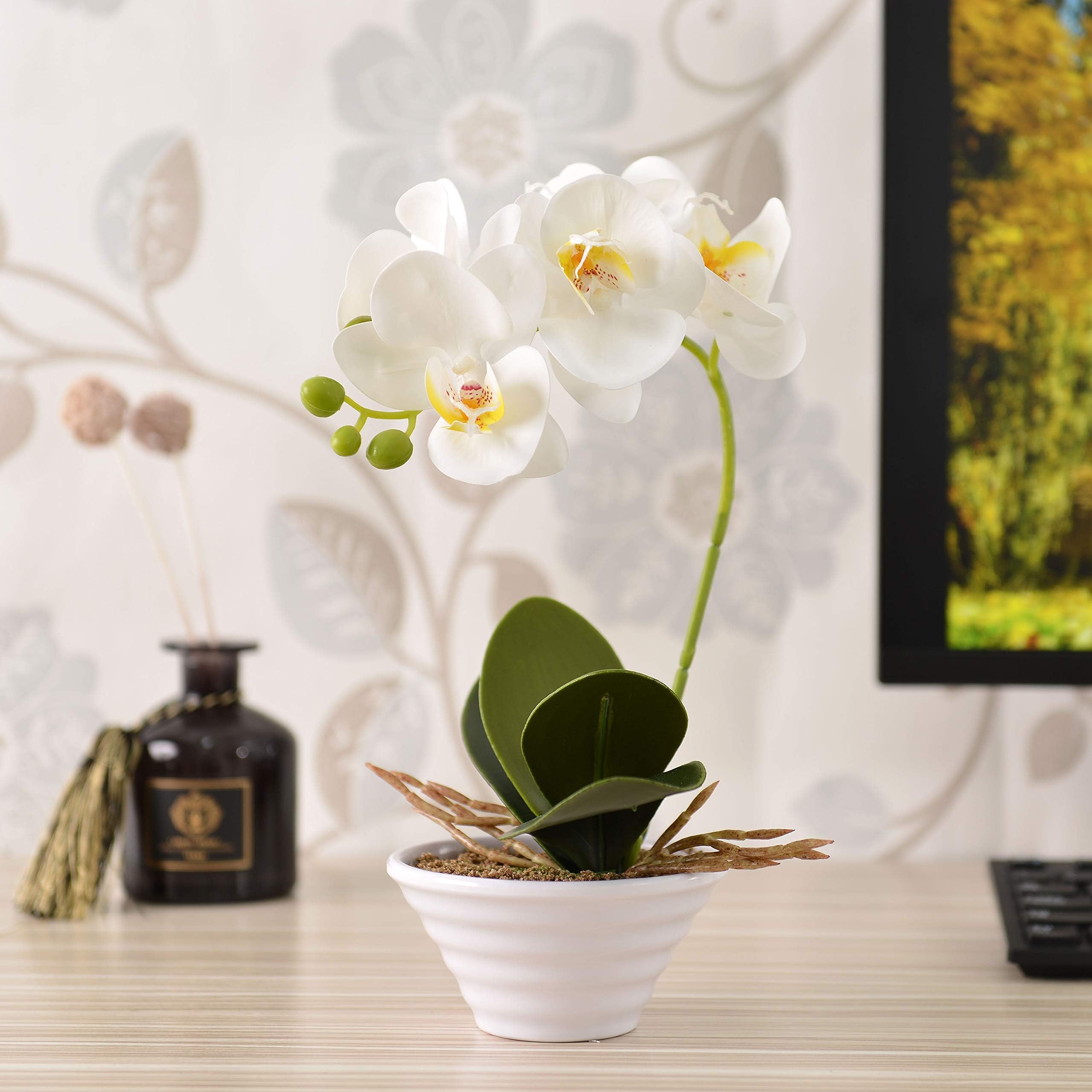 IMIEE Artificial Phaleanopsis Arrangement with Vase Decorative Orchid Flower Bonsai (White-2)