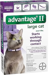 bayer advantage ii small cat