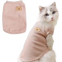 810vB3of1nL. AC UL250 SR250,250