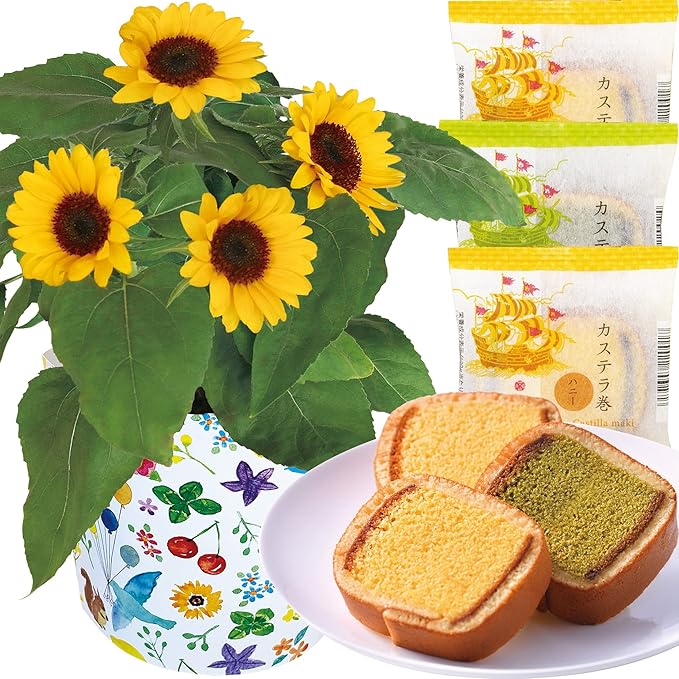 Amazon 花のギフト社 ひまわり鉢植え 文明堂 カステラ巻き どら焼き 花とスイーツ カステラ スイーツギフト 花のギフト社 Hana No Gift Sha どら焼き 通販