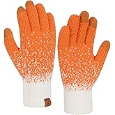 FZ FANTASTIC ZONE Womens Winter Warm Touchscreen Gloves Knit Working Texting Thermal Gloves for Women Cold Weather Gifts