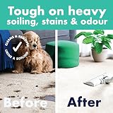 Dirtbusters Pet Carpet Cleaner Solution 5L Blackberry Fig Dilutable view 4