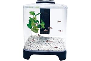 PENN-PLAX NuWave Betta Fish Tank Kit with LED Light and Internal Filter – Black – 1.5 Gallon