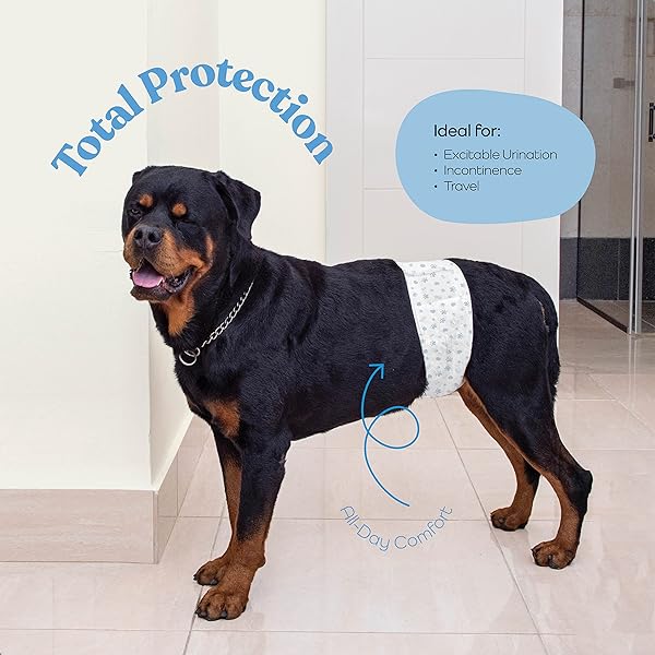 COMFORTABLE MALE DOG DIAPERS – 50-PACK SUPER ABSORBENT DISPOSABLE MALE DOG WRAPS- FLASHDRY GEL TECHNOLOGY, WETNESS INDICATOR DOGGIE DIAPERS- LEAKPROOF BELLY WRAPS FOR INCONTINENCE, EXCITABLE URINATION