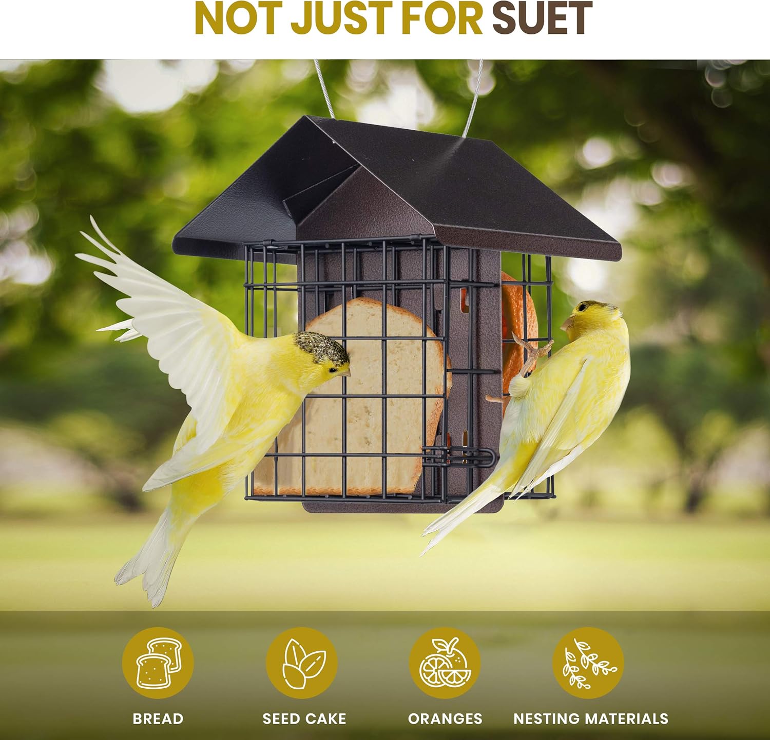 Suet Bird Feeder for Outside [Double Capacity] Suet Wild Bird Feeder with Hanging Metal Roof, Suet Feeders for Outside, for Use with Suet Cakes, Seed Cakes, Mealworm Cakes : Garden & Outdoor
