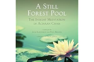A Still Forest Pool: The Insight Meditation of Achaan Chah: Quest Book