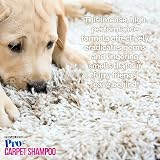 Pro-Kleen Pro+ Carpet Shampoo 5L Lemon Fresh 4 in 1 Concentrate view 7