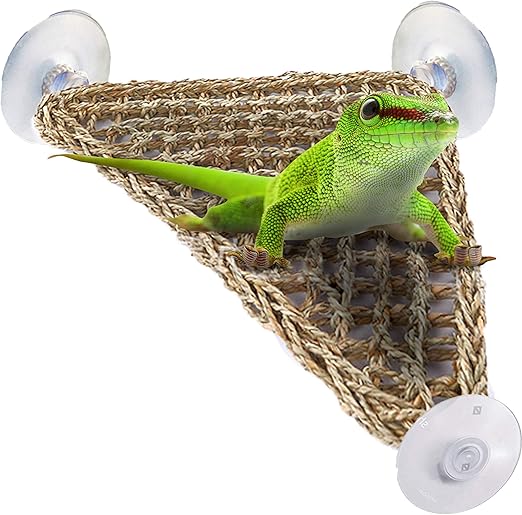 bearded dragon hammock petco