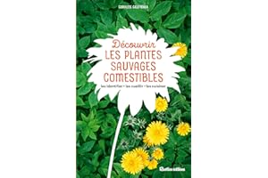 Découvrir les plantes sauvages comestibles: Les identifier - Les cueillir - Les cuisiner (Découvrir la nature) (French Editio