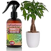 Gardenera Professional Money Tree Spray Fertilizer Mist for Home Gardening | 3-1-2 Gentle Blend Mist for Healthy Leaves & Growth | Essential Nutrients for Money Tree - 8oz