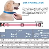 haapaw Reflective Dog Collar with Neoprene Padding Adjustable Nylon view 7