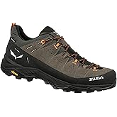 Salewa Men's Alp Trainer 2 GTX Hiking Shoes | Waterproof