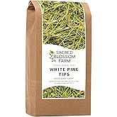 White Pine Needle Tea, Wild-Harvested in Wisconsin | 6.0 oz | 85 Servings | Loose Leaf | Herbal Tea & Medicinal Herbs | Regenerative Farming | Single Source | Pinus strobus