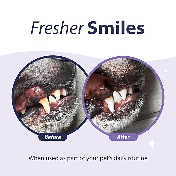 DENTAL FRESH ADVANCED PLAQUE AND TARTAR WATER ADDITIVE, 17OZ – DOG TEETH CLEANING FORMULA TO FRESHEN BREATH AND IMPROVE CAT & DOG DENTAL CARE