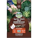 oxbow essentials adult guinea pig