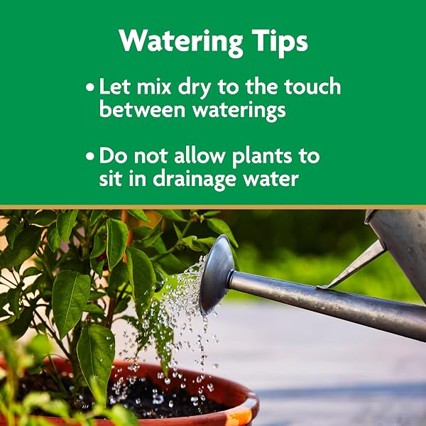 MIRACLE-GRO MOISTURE CONTROL POTTING MIX – PLANT SOIL FOR CONTAINER PLANTS, PROTECTS AGAINST OVER- AND UNDER-WATERING, 8 QT. (2-PACK)