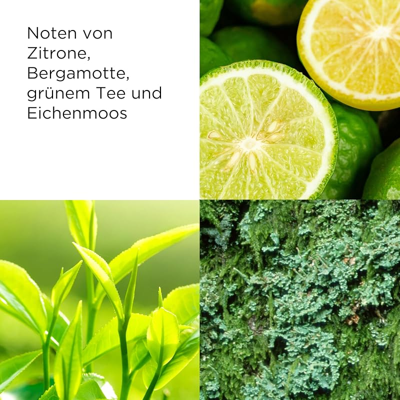 Green Tea Feuchtigkeitsspendende Body Lotion 500 ml