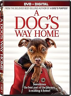 Get Amazon Com Dog Days Marino Ken Dobrev Nina Wolfhard Finn HD Get Wallpaper Amazon Com Dog Days Marino Ken Dobrev Nina Wolfhard Finn For iPhone