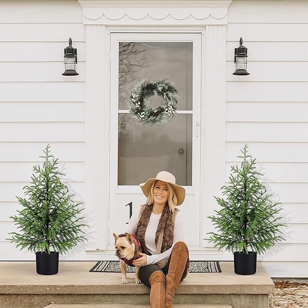 ENVEN NORFOLK PINE CHRISTMAS TREE REAL TOUCH FAUX HOLIDAY TREE WITH POT, REALISTIC INDOOR OUTDOOR DECORATION FOR ENTRYWAY, LIVING ROOM, OFFICE, APARTMENT (3FT-1PACK)