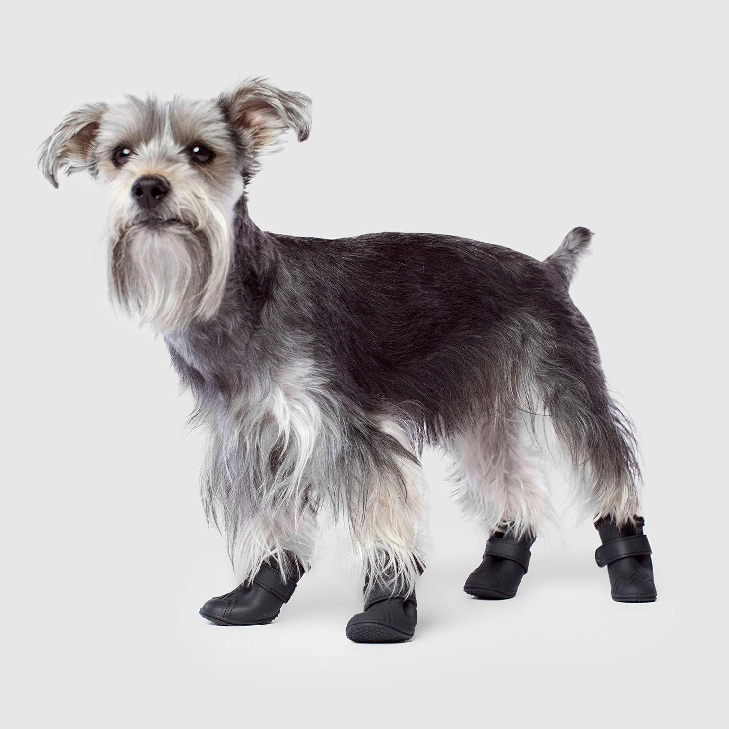 canada pooch wellies