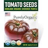 Purely Organic Tomato Seeds (Cherokee Purple) - Approx 75 Seeds - Certified Organic, Non-GMO, Open Pollinated, Heirloom, USA Origin