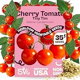 SVI 35 Cherry Tiny Tim Tomato Seeds (Solanum Lycoperscium) - Dwarf Cherry Tomato Seed Packets, Sweet Mini Tomatoes - Heirloom Vegetable Seeds for Containers, Patio, Indoor &amp; Outdoor Garden