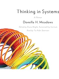 Thinking in Systems: A Primer