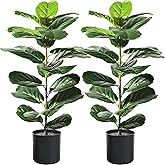 Suntee 2 Pack Artificial Fiddle Leaf Fig Tree, 30" Ficus Lyrata Fake Plants with Pots, Floor Plant Outdoor Faux Plants for Living Room, Corner, Office, Patio, Windowsill Decor