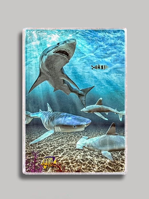 Shark Cove Refrigerator Magnet