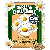HOME GROWN German Chamomile Seeds, 2,280 Seeds, Matricaria chamomilla | High Germination, Heirloom, Non-GMO | 2,280 Seeds | Sustainable Gardens | Soothing Medicinal Herbal Teas | German Chamomile
