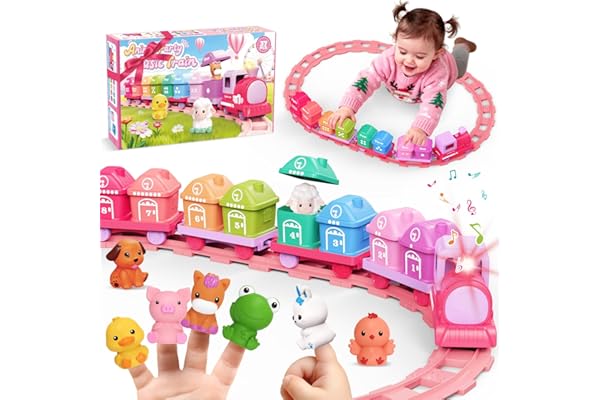 Train Set Toy Toddlers for 1-3 Learning Toy for Ages 1 2 3,Montessori Learning Matching & Sorting Toys,Christmas Birthday Gif