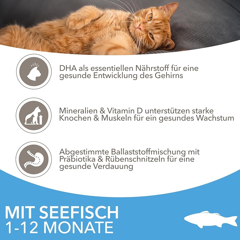 Trockenfutter mit Fisch für Kitten im Alter von 1-12 Monaten, 10 kg
