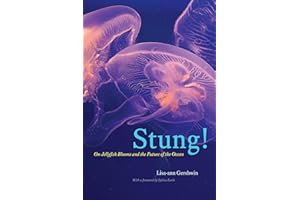Stung!: On Jellyfish Blooms and the Future of the Ocean