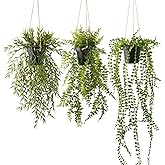 PENGYEE 3 Packs Fake Hanging Plants with Black Pots, 28" Artificial Hanging Plants for Wall Decor, Fake Fern Plants Mandala Vine Indoor/Outdoor for Home Bathroom Bedroom Kitchen Office Room Decor