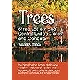 Trees of the Eastern and Central United States and Canada: The identification, habits, distribution woodlore and uses of coni
