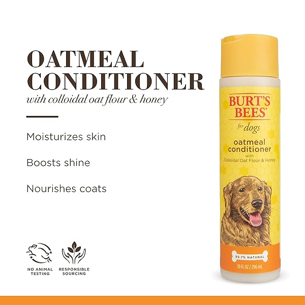 BURT’S BEES FOR PETS OATMEAL DOG CONDITIONER WITH HONEY, MOISTURIZING DOG COAT CONDITIONER FOR DRY AND SENSITIVE SKIN TO HELP SOFTEN AND NOURISH COATS DURING GROOMING, 10 FL OZ