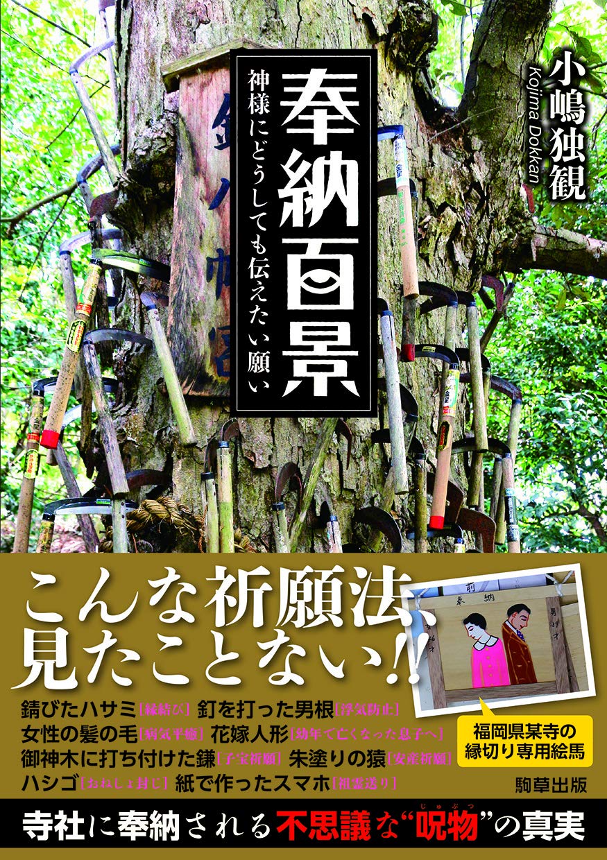 奉納百景 神様にどうしても伝えたい願い 小嶋 独観 本 通販 Amazon