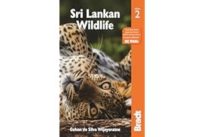Sri Lankan Wildlife