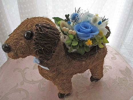 Amazon プリザーブドフラワーギフト 父の日 お疲れ様 動物アレンジ わんこ 犬 誕生日プレゼント ブルー プリザーブドフラワー オンライン通販