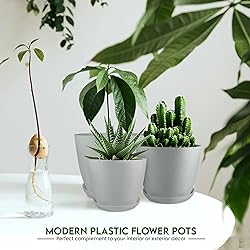 Utopia Home - Plant Pots Indoor with Drainage