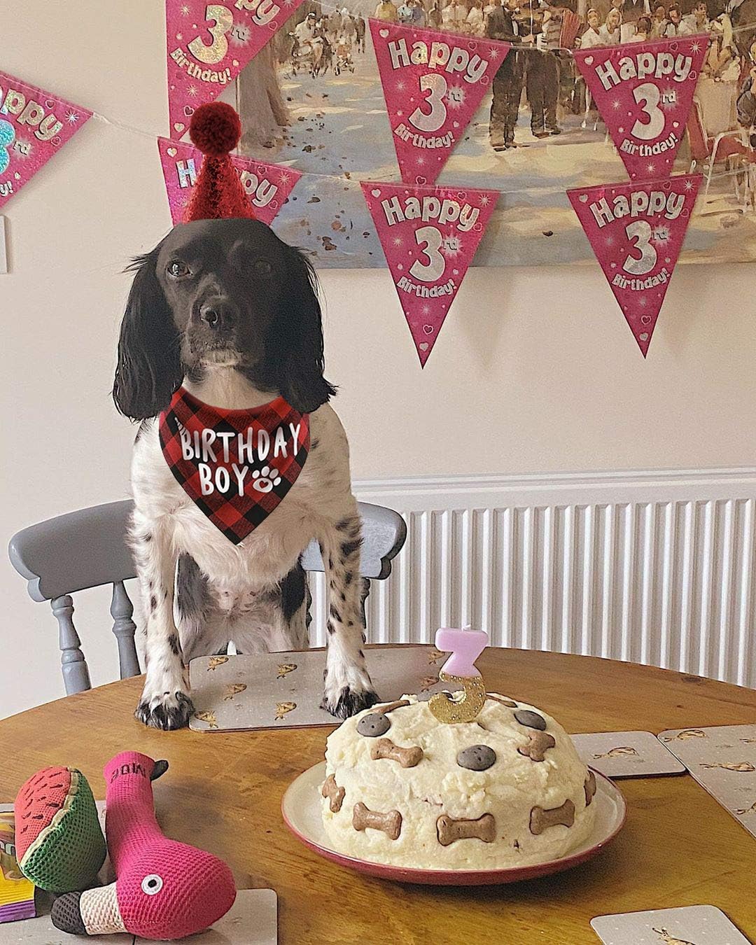 JPB Dog Birthday Hat and Dog Birthday Bandana Boy Set : Pet Supplies
