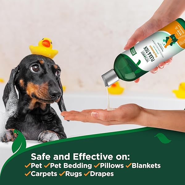 VET’S BEST FLEA AND TICK ADVANCED STRENGTH DOG SHAMPOO – DOG FLEA AND TICK TREATMENT – PLANT-BASED FORMULA – CERTIFIED NATURAL OILS – 12 OZ