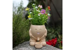 Dolkgy Head Planter, Unique Face Flower Pot Head Vase for Plants for Indoor and Outdoor Décor, Cute Cactus Face Pots Funny Office Plant Pots