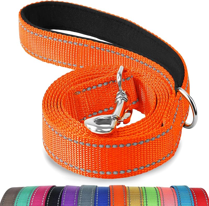 Joytale Padded Handle Dog Lead Double-Sided Reflective Nylon 1.2m Orange